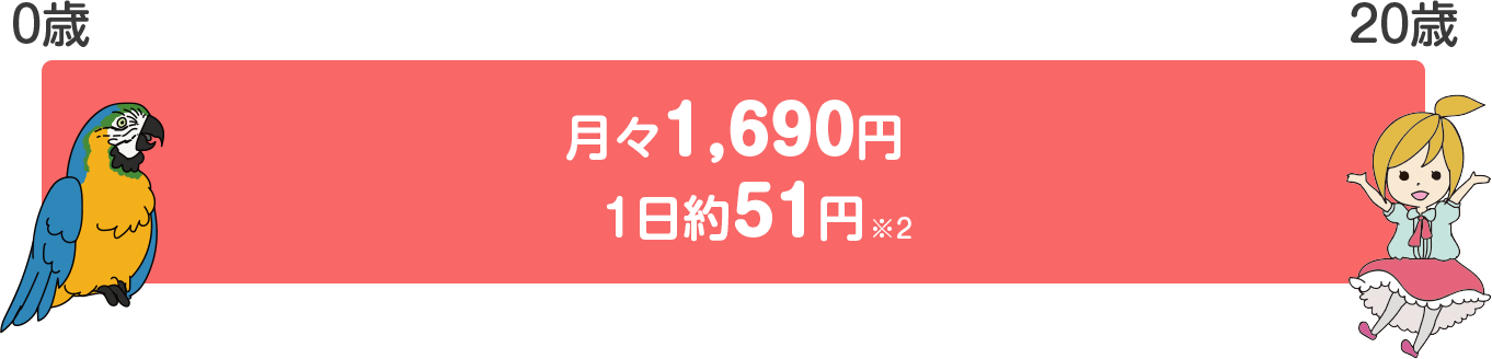 ホワイトプランⅡの保険料