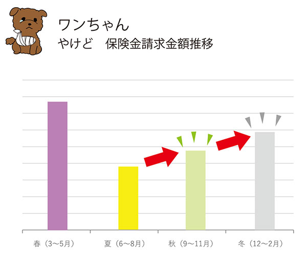 ワンちゃん やけど 保険金請求金額推移