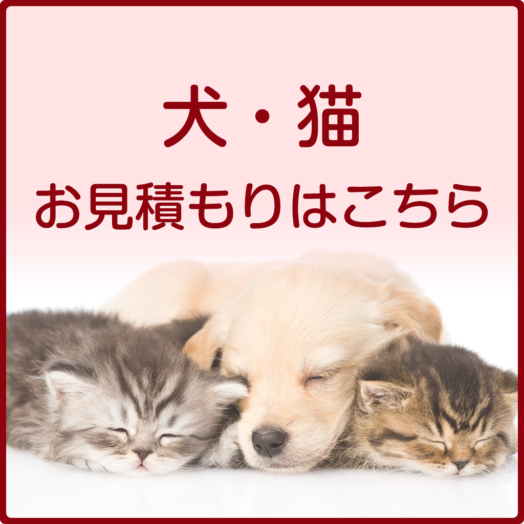 犬猫プランお見積もり