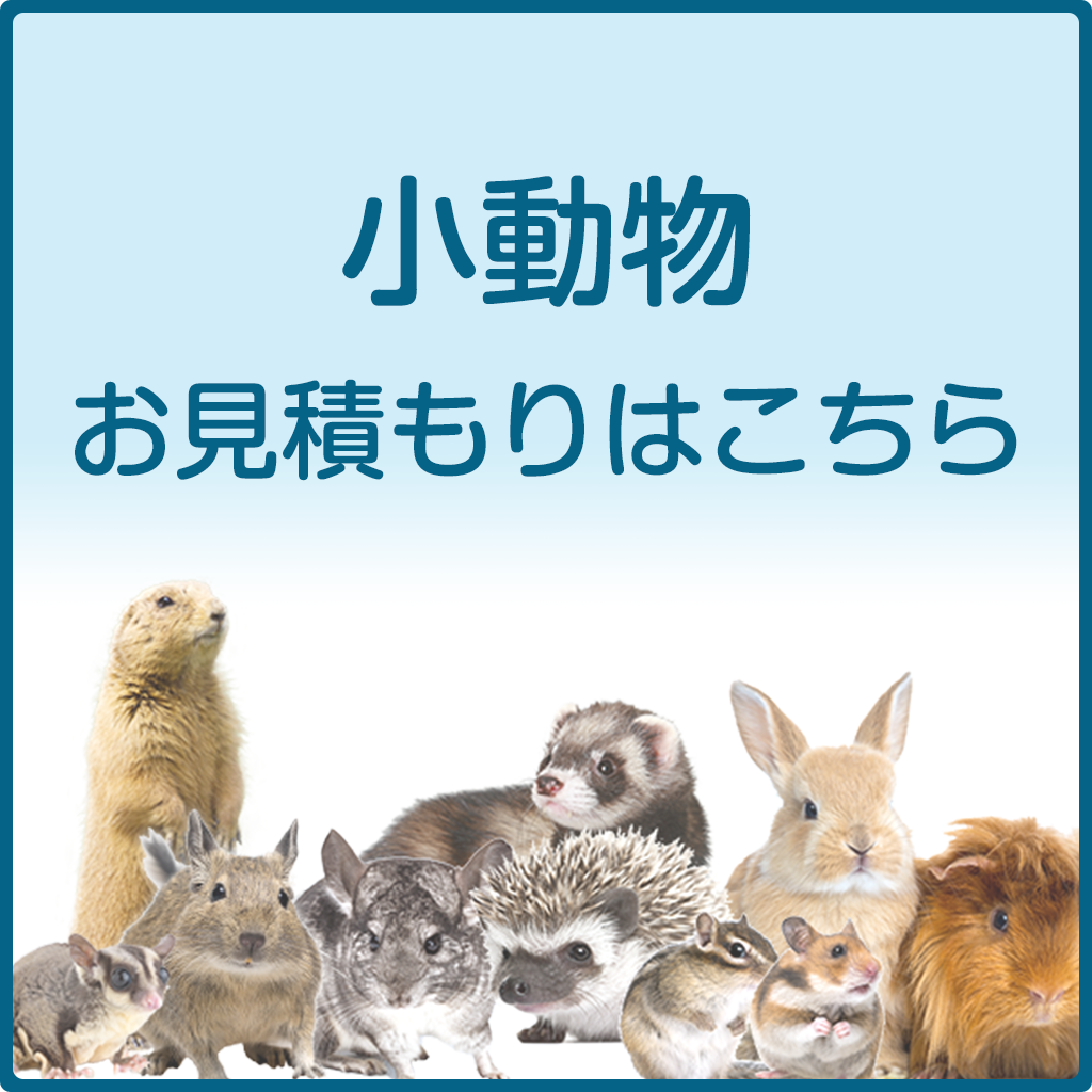 小動物プランお見積もり