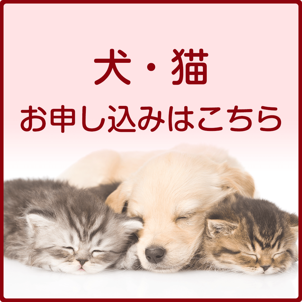 犬猫プランお申込み