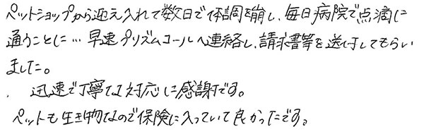 ペットショップから迎え入れて数日で体調を崩し、毎日病院で点滴に通うことに…早速プリズムコールへ連絡し、請求書等を送付してもらいました。
                  迅速で丁寧な対応に感謝です。
                  ペットも生き物なので保険に入っていて良かったです。
                  